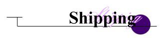 Shipping Information for the Netique Gift Boutique - Unique and Elegant Gifts for Holidays and Special Occasions